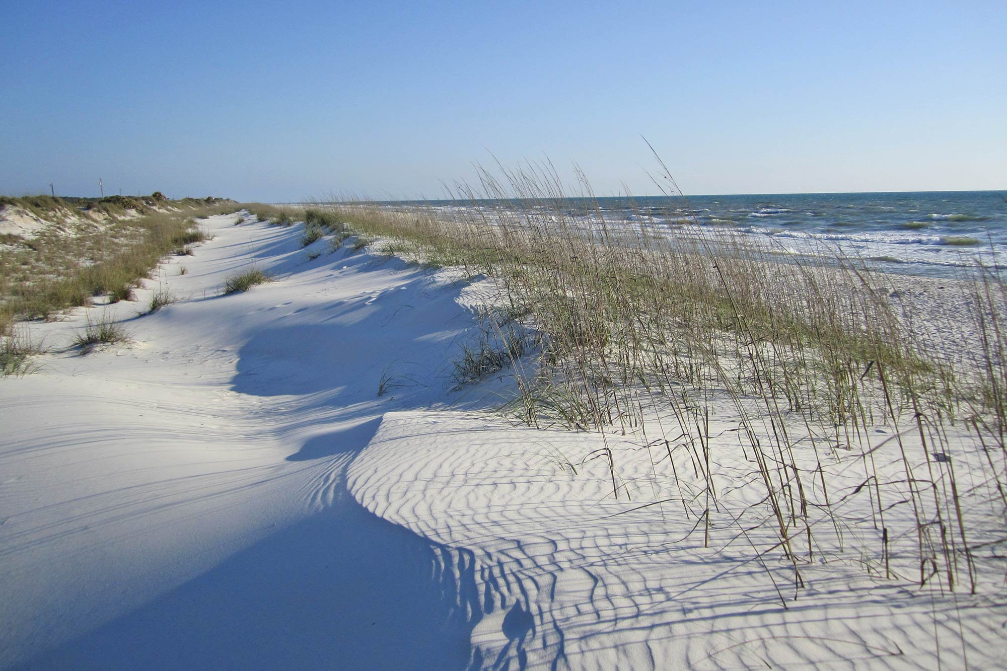 White sand dunes with tall beach grass overlooking the ocean.